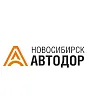Генеральный директор Д.В. Кекулиди Генеральный директор Д.В. Кекулиди